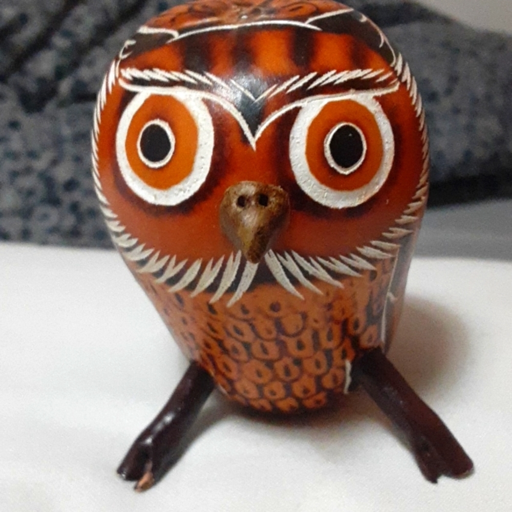 Peruvian Gourd Art Owl Sculpture
